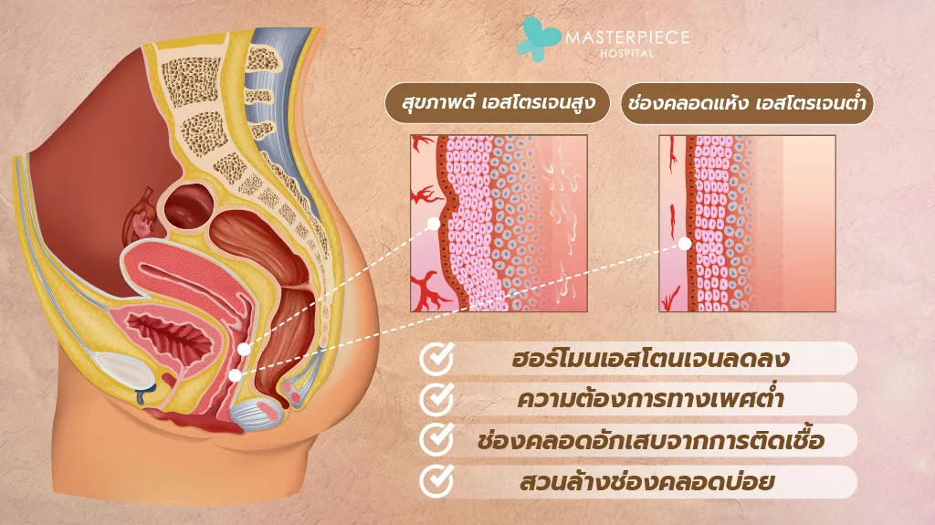 ช่องคลอดแห้ง เกิดจากอะไร